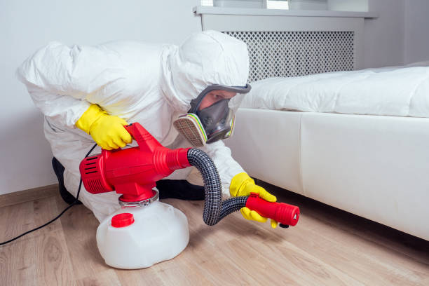 Best Pest Prevention Services  in Lowell, AR